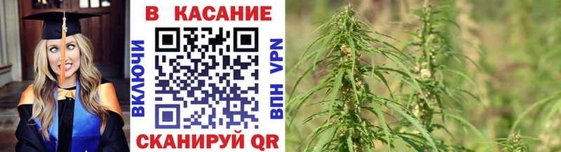 Где продают наркотики Карачаевск Cocaine Меф мяу мяу Alpha-PVP Канабис