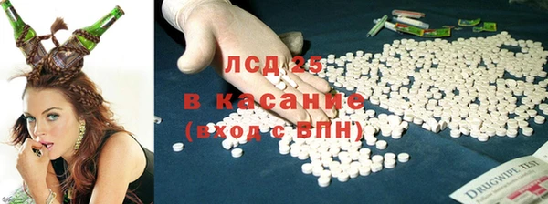 сатива Алексеевка