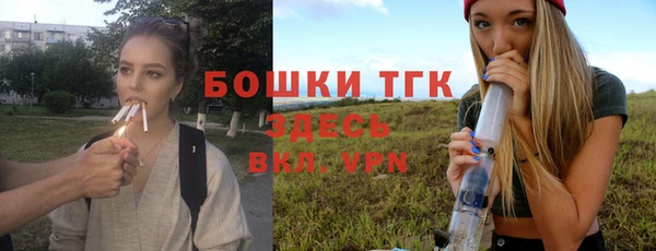 сатива Алексеевка